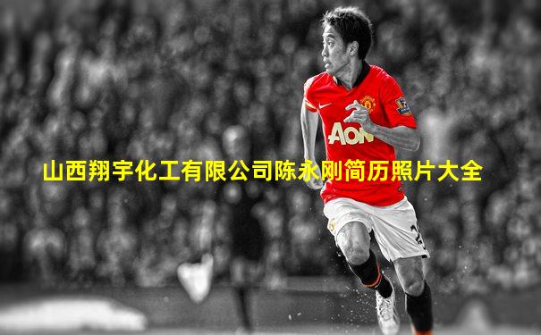 山西翔宇化工有限公司陈永刚简历照片大全
