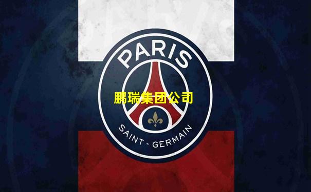 鹏瑞集团公司