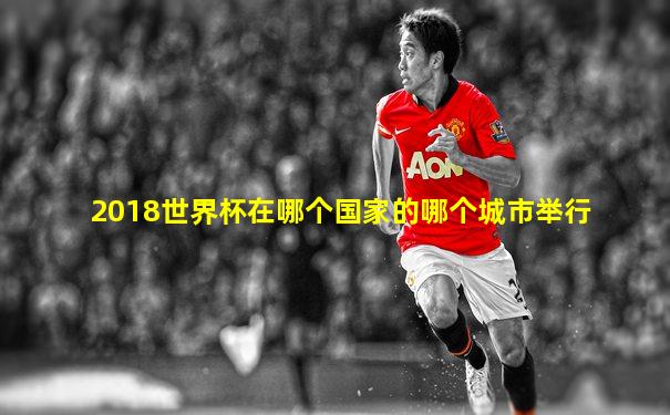 2018世界杯在哪个国家的哪个城市举行