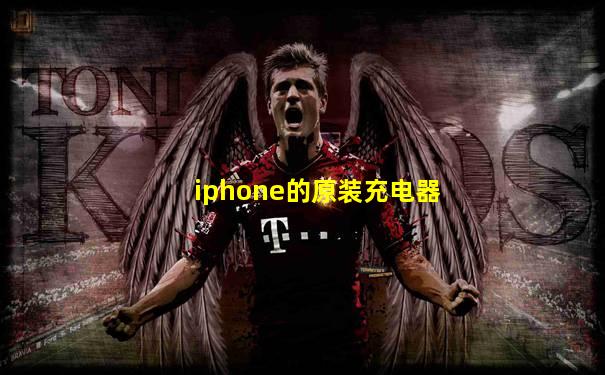 iphone的原装充电器