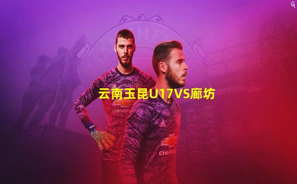 云南玉昆U17VS廊坊