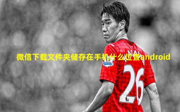 微信下载文件夹储存在手机什么位置android