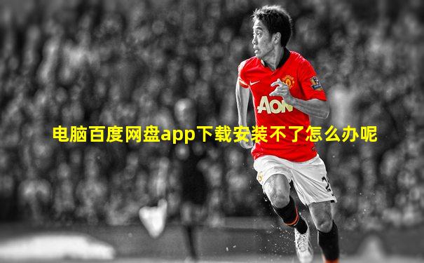 电脑百度网盘app下载安装不了怎么办呢