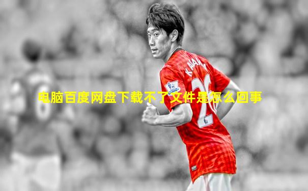 电脑百度网盘下载不了文件是怎么回事