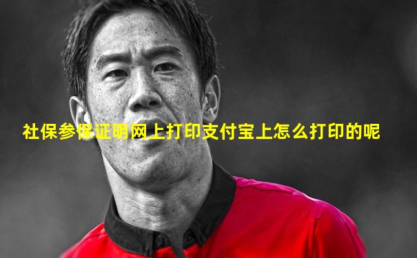 社保参保证明网上打印支付宝上怎么打印的呢