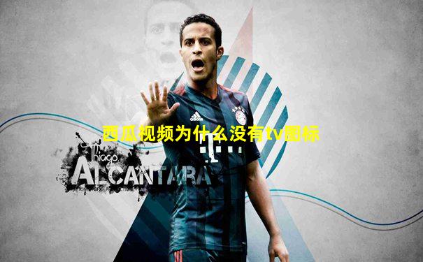 西瓜视频为什么没有tv图标