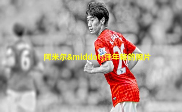阿米尔·汗年轻的照片